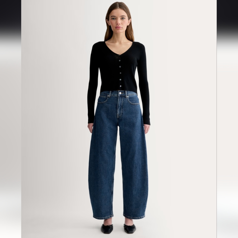 Everlane The Way High Curve Jean Sz 24